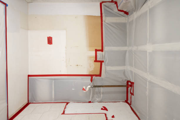 Best Airborne Mold Testing  in Country Homes, WA