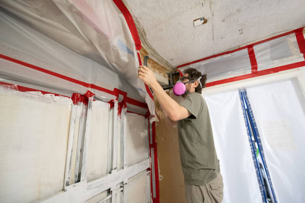 Best Mold Damage Restoration  in Country Homes, WA