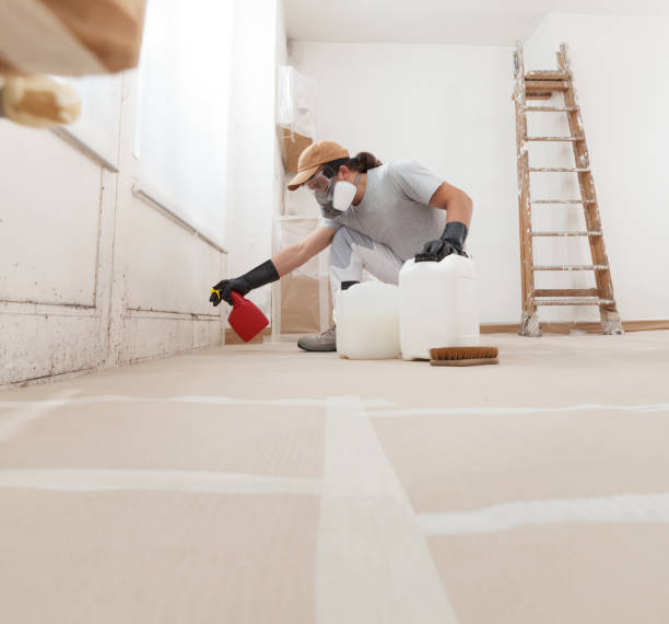 Best Mold Odor Removal Services  in Country Homes, WA